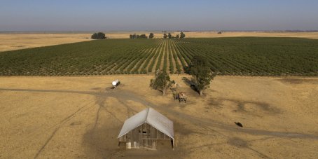 La città ideale che i miliardari della Silicon Valley vorrebbero costruire...