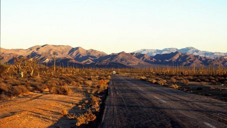 48 ore nella Baja California del nord tra bar esagerati, cactus e balene