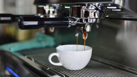La storia genetica dell'Arabica è stata sequenziata: il nostro caffè...
