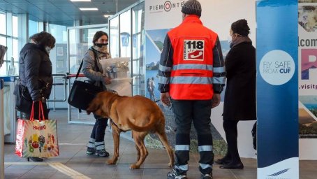 Fiuto dei cani per scoprire il Covid sui viaggiatori all’aeroporto di...