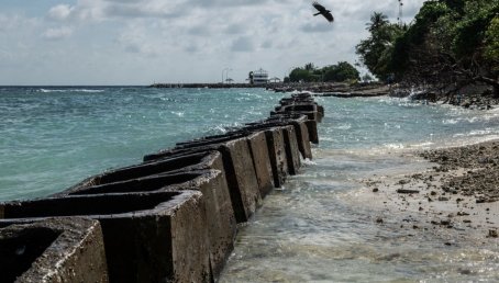 Oceani sempre più caldi. E la crisi accelera