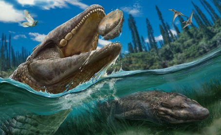 Nuove scoperte sul fossile di un coccodrillo di 80 milioni di anni al...