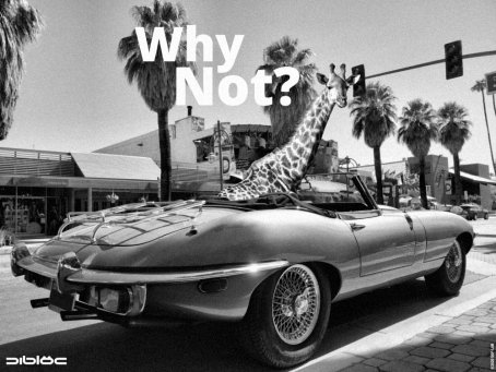 Dibloc: Why Not? #5