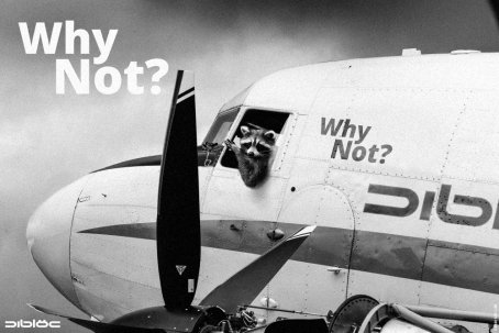 Dibloc: Why Not? #10